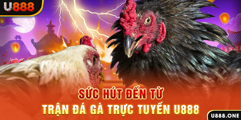 luck8882 đá gà trực tiếp c1