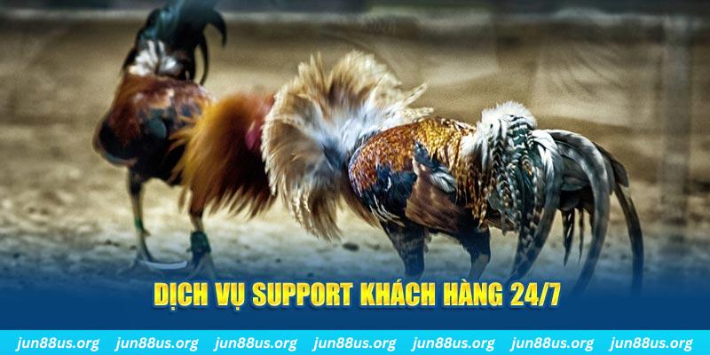 luck8882 ÁT CHỦ BÀI GIÀNH LẤY ZHUANG NIUNIU ( XEM 4 LÁ )