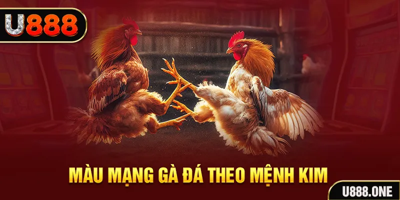luck8882 Cỡ bảy