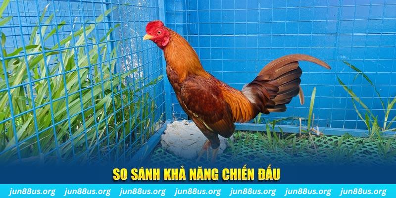 luck8882 CQ9 Điện Tử