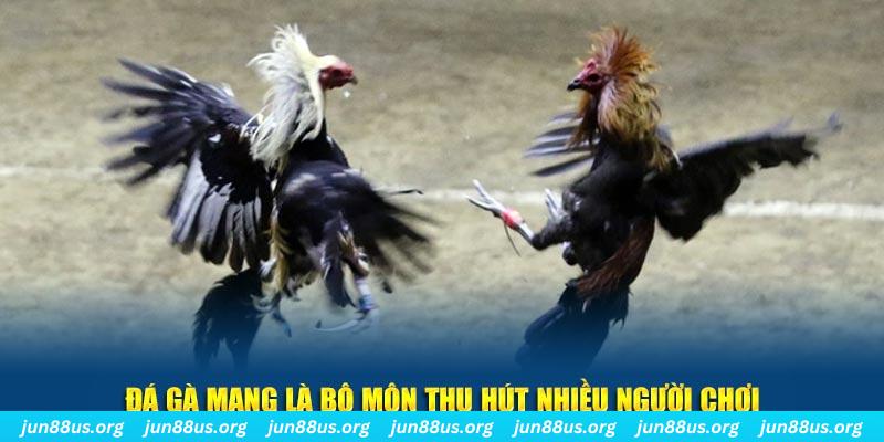 luck8882 bắn cá au88