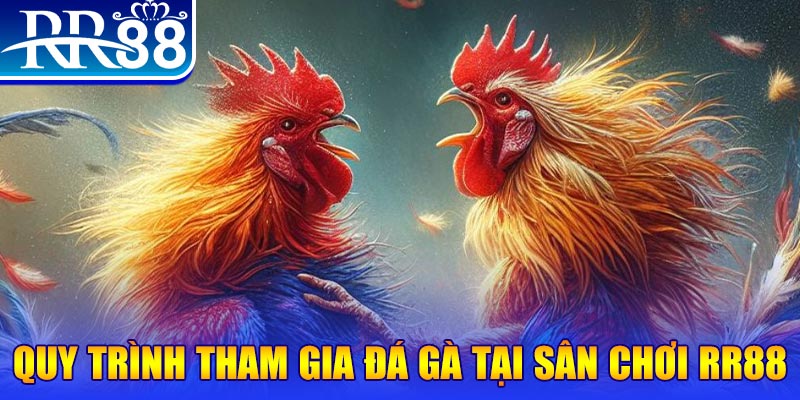 luck8882 đá gà cam 67