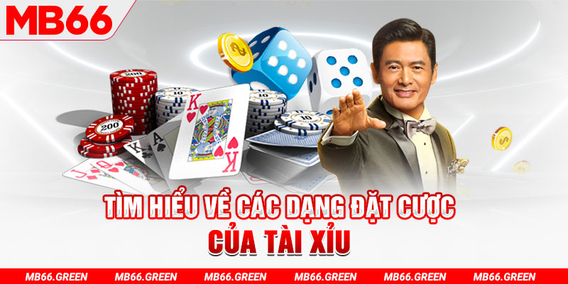 luck8882 what is a virtual casino