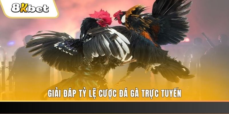 luck8882 xổ số đài miền trung