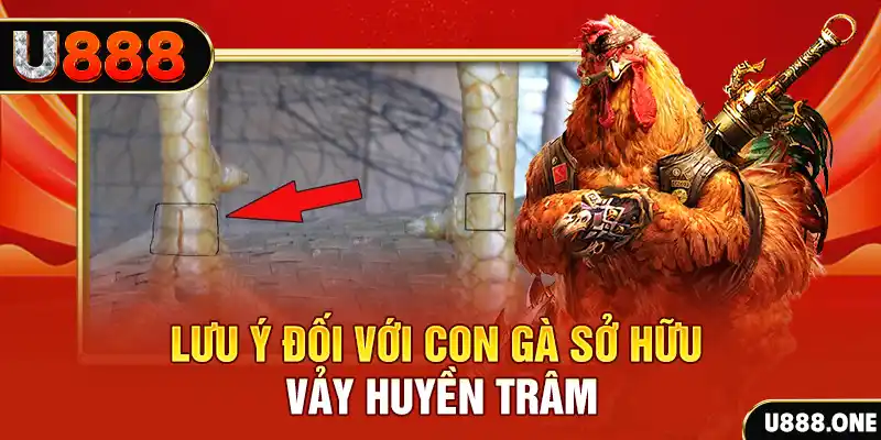 luck8882 kết quả xổ số miền nam hôm nay