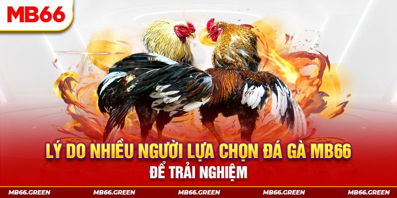luck8882 xổ số miền bắc thứ bảy hàng tuần