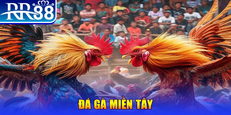 luck8882 no hu doi thuong ai