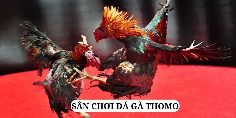 luck8882 trực tiếp xổ số miền bắc
